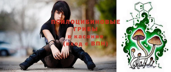 дживик Алексин