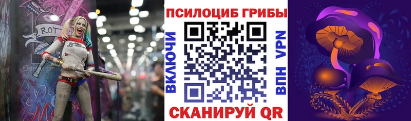 купить закладку  Мураши  Псилоцибиновые грибы MAGIC MUSHROOMS 